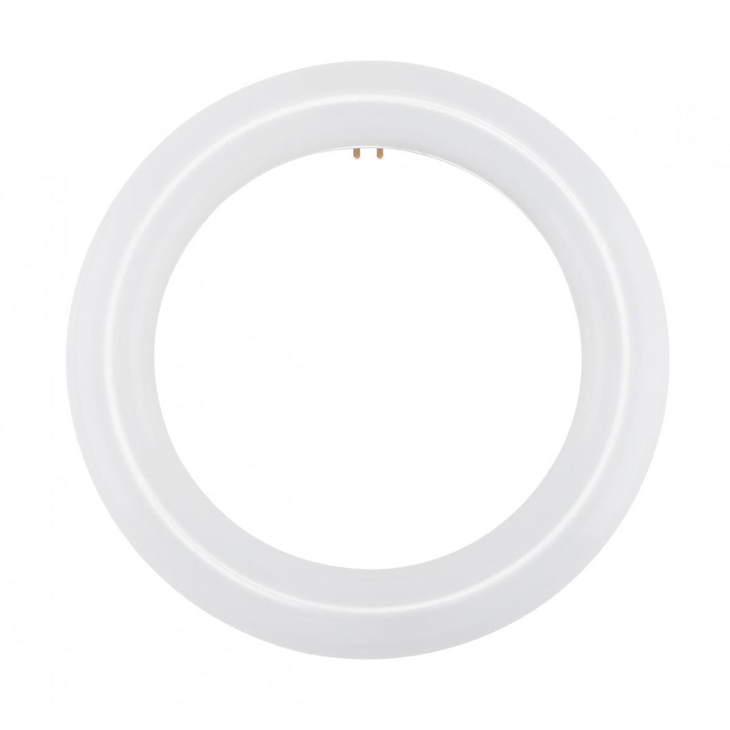 S16502 FC8T9/LED/CIR/865/BP