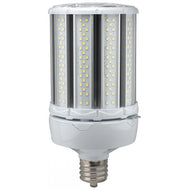 S39676 100W/LED/HID/4K/100/277V/EX39