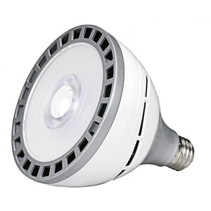 S9760 18W/LED/PAR38/3000K/100-277V